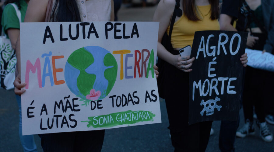Sao Paulo / Brazil - September 25 2020: Participants protesting in a demonstration for climate change (Ato Global pelo Clima) in front of IBAMA with banners against fires in Pantanal and Bolsonaro.