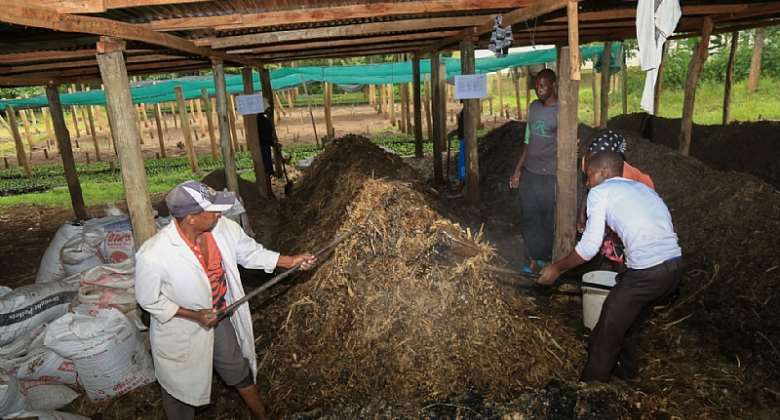615202251318-i4ep276gfa-farmers-in-kericho-preparing-organic-fertilizer-image-by-sustainable-inclusive-business