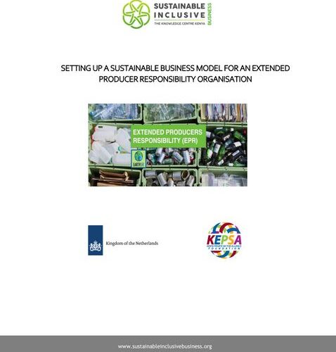 SIB Report on Setting Up a Sustainable Business Model for EPR